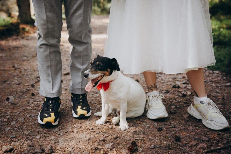 strój dla psa na wesele