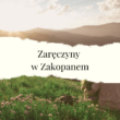 zaręczyny w zakopanem